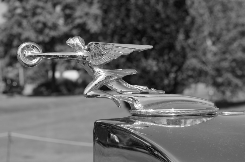 Illustration for article titled Concours on the Green. Eugene, Oregon.